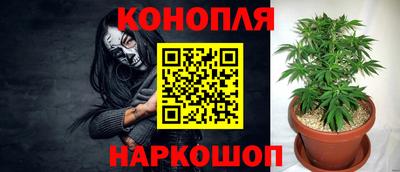 стаф Кунгур