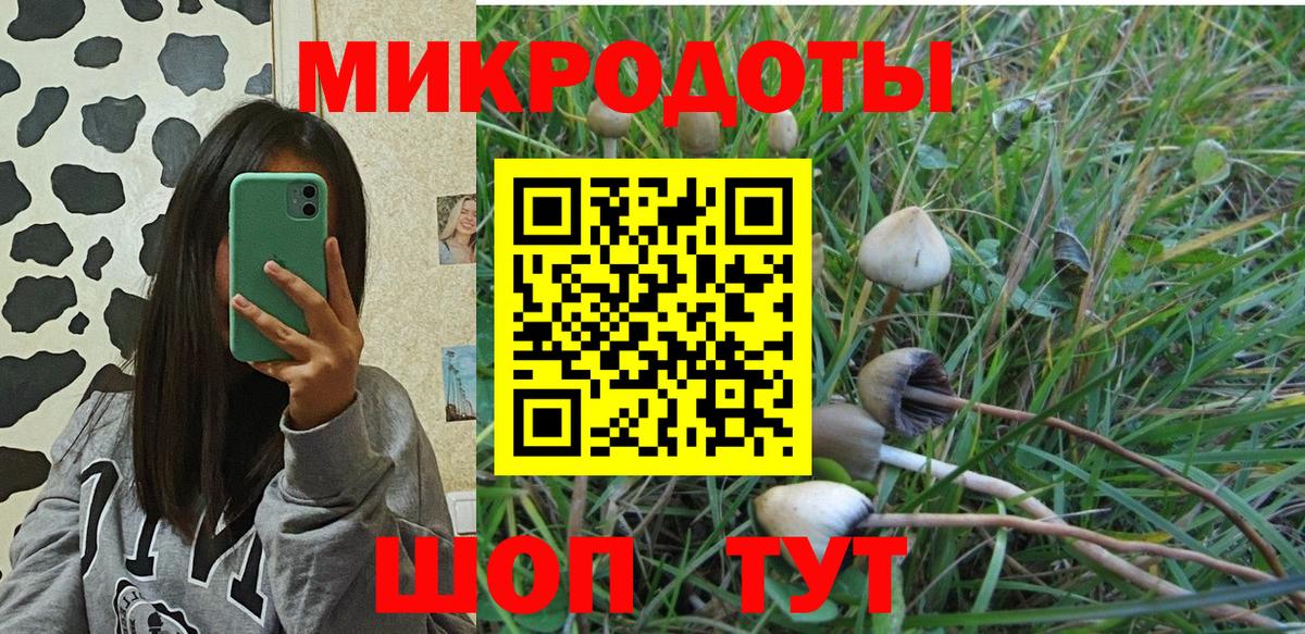 наркошоп  Вход с VPN  Фрязино  Галлюциногенные грибы GOLDEN TEACHER 
